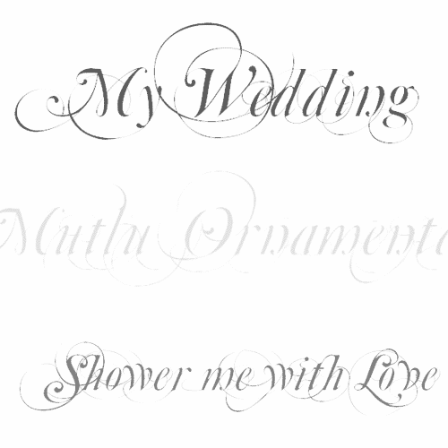 10 lettering fonts for wedding graphics