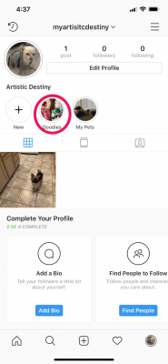 instagram highlights viewer