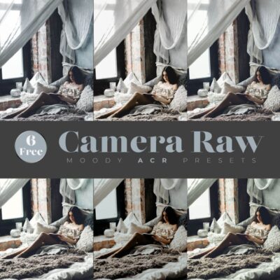ACR Image Filter Presets for Camera Raw